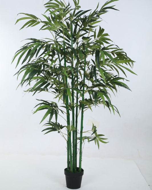 Artificial Green Bamboo Plant With Black Pot | 71 Inches