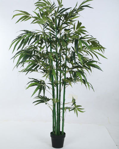 Artificial Green Bamboo Plant With Black Pot | 71 Inches