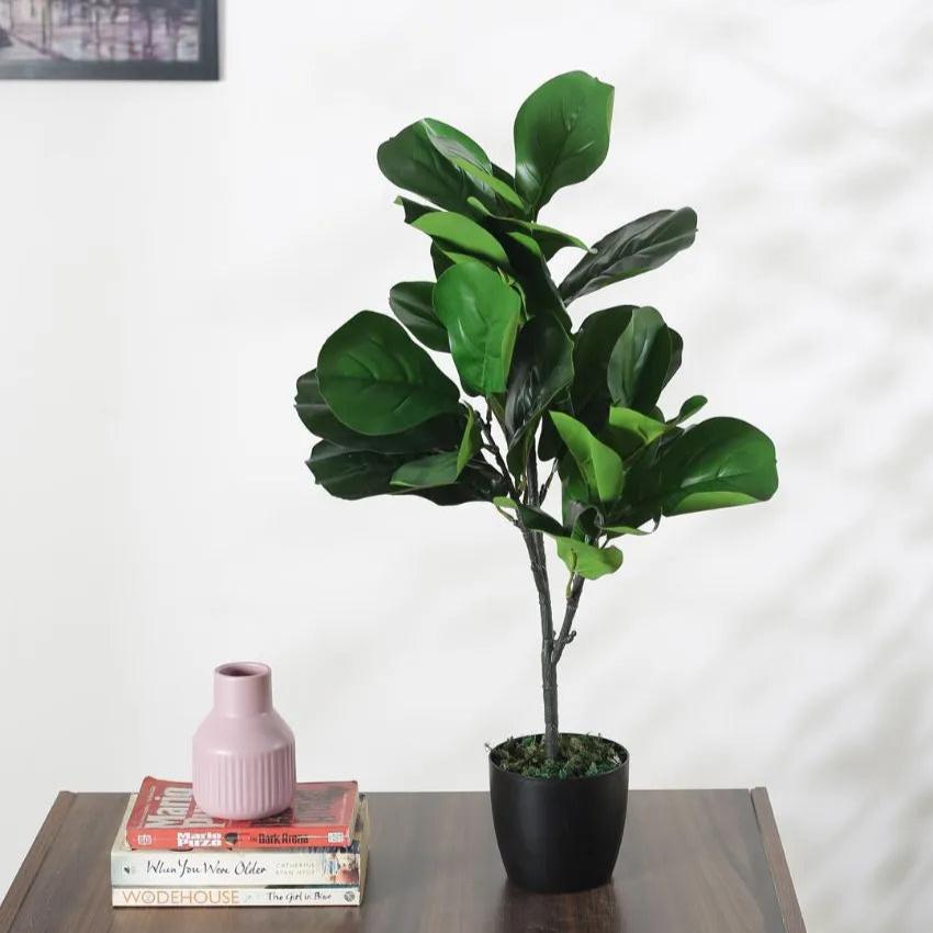 Artificial Fiddle Leaf Fig Plant With Black Pot | 30 Inches