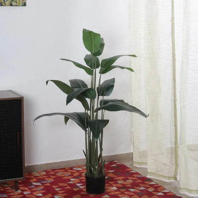 Artificial Traveller Bird Of Paradise With Black Pot | 59 Inches