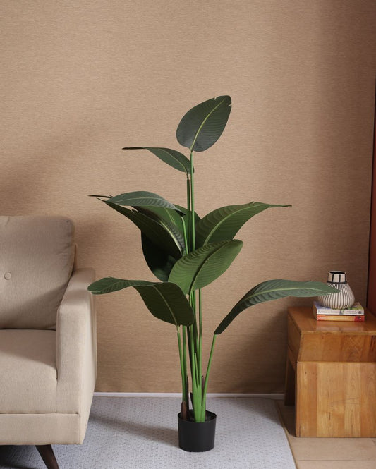Artificial Traveller Banana Plant With Black Pot | 59 Inches