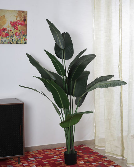 Artificial Traveller Banana Silk Plant With Black Pot | 71 Inches