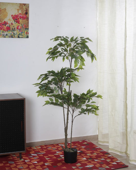 Artificial Ficus Variegated Plant With Black Pot | 71 Inches