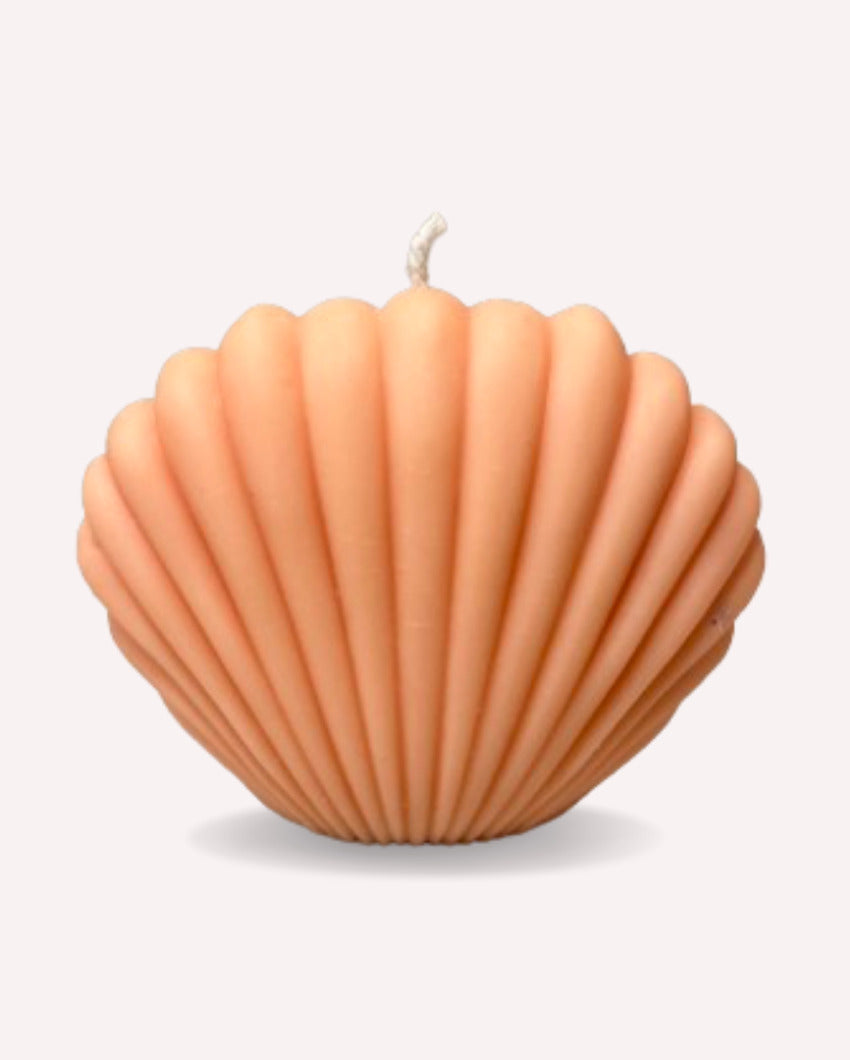 Sea Shell Vanilla Coconut Soy Wax Candles | Peach| Set of 2 |10 x 7 x 5 cm/ 4 x 3 x 2 inches