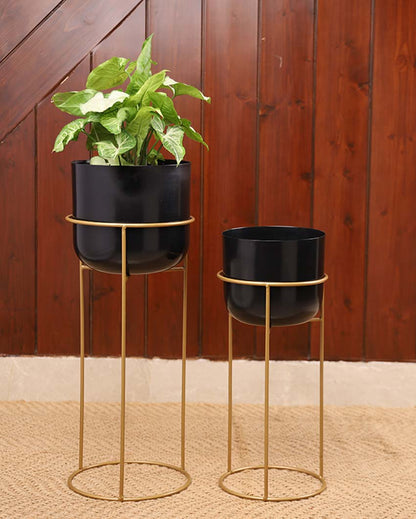 Allura Metal Planters with Stands | Set Of 2 | Plant not included