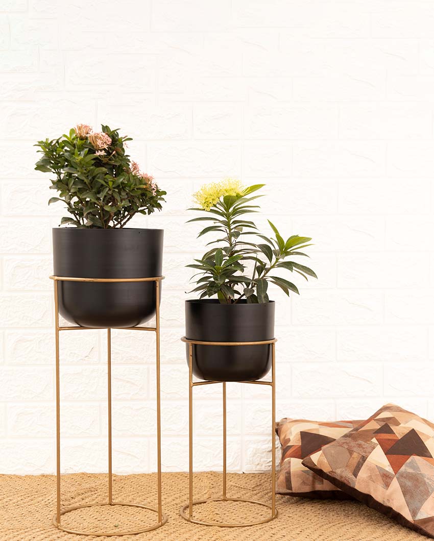 Allura Metal Planters with Stands | Set Of 2 | Plant not included