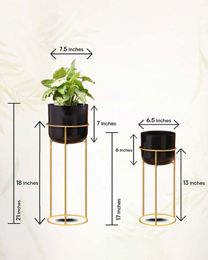 Allura Metal Planters with Stands | Set Of 2 | Plant not included