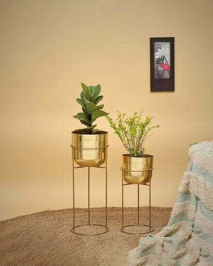 Allura Metal Planters with Stands | Set Of 2 | Plant not included