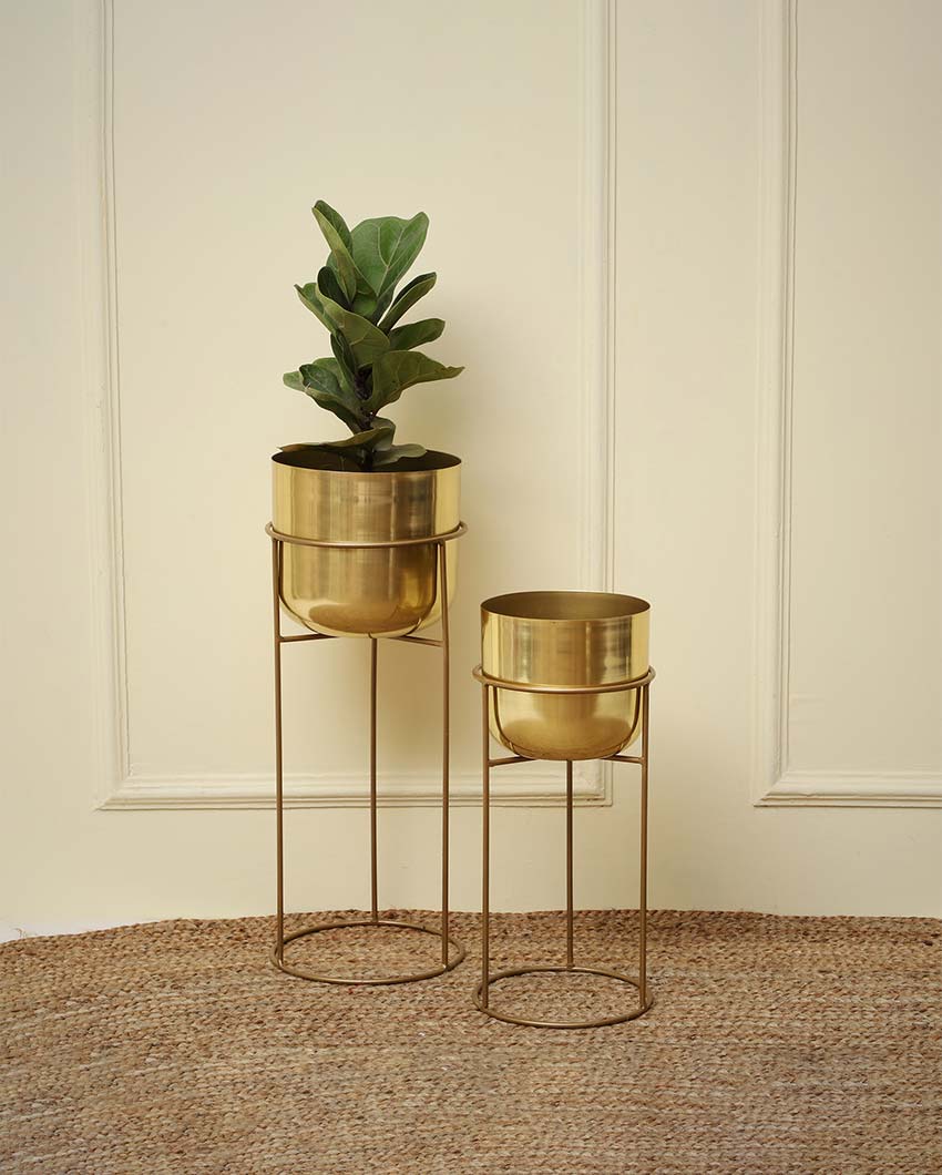 Allura Metal Planters with Stands | Set Of 2 | Plant not included