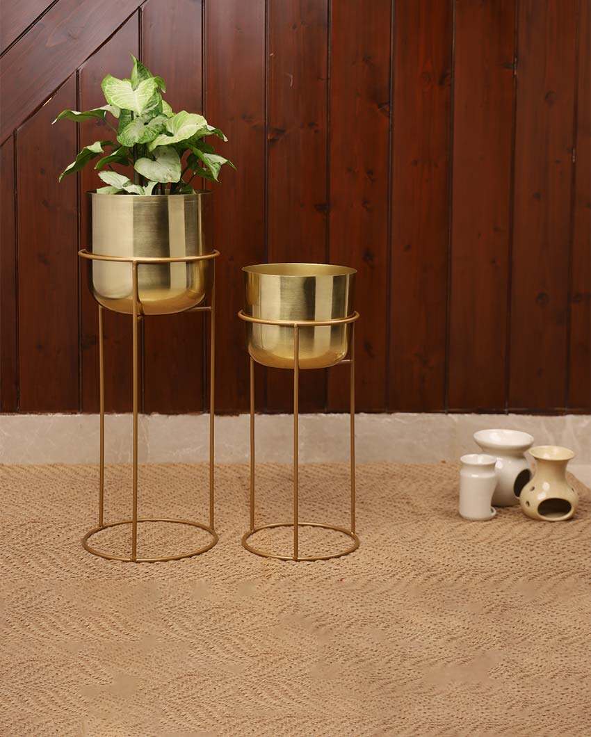 Allura Metal Planters with Stands | Set Of 2 | Plant not included