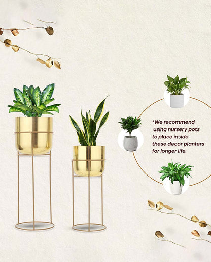 Allura Metal Planters with Stands | Set Of 2 | Plant not included