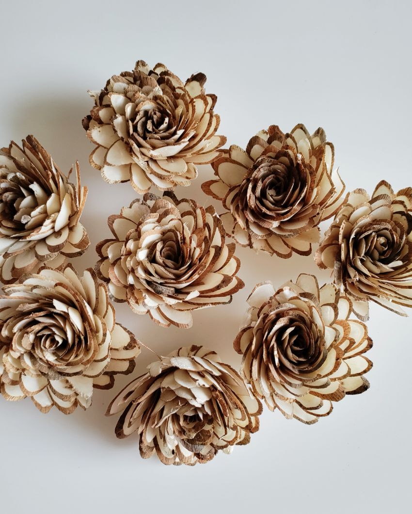 Almondis Bunch Handcrafted Sholapith Flowers & Stems | 16 x 12 x 4 inches