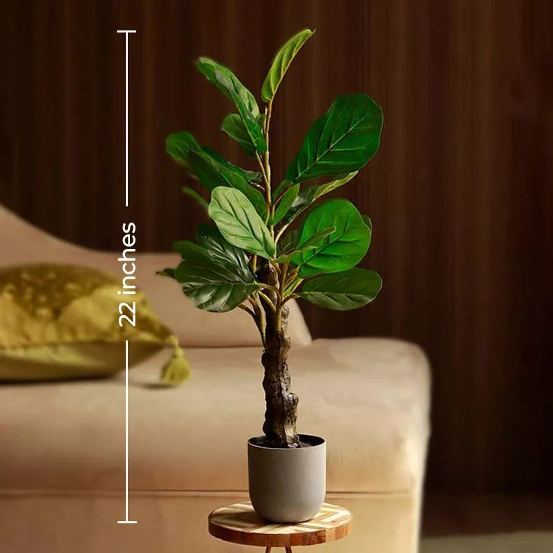 The Sierra Leone | Artificial Fiddle Leaf Bonsai in Grey Pot