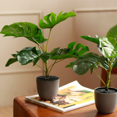 The Zome | Set of 2 Artificial Monstera Plant