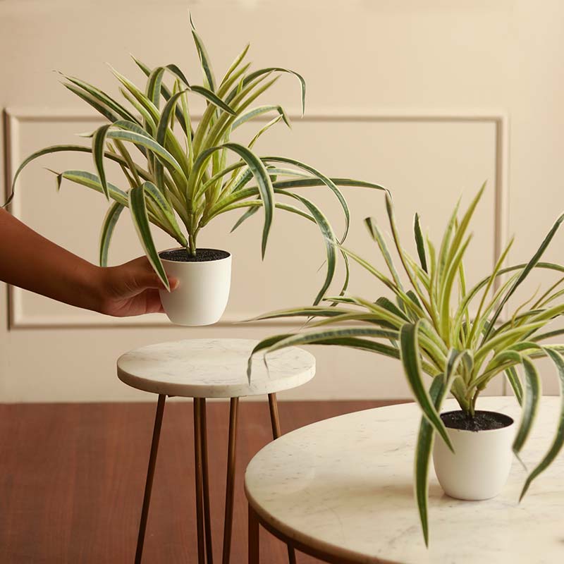The Hawaiian | Artificial Spider Plant With Pots | 15 inch | set of 2