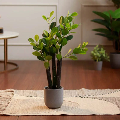 The Chinese Empire | Medium Size Artificial Banyan Bonsai With Grey Pot