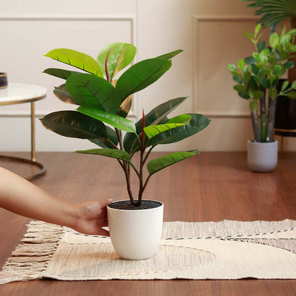 The Florida | Artificial Rubber Plant with Pot