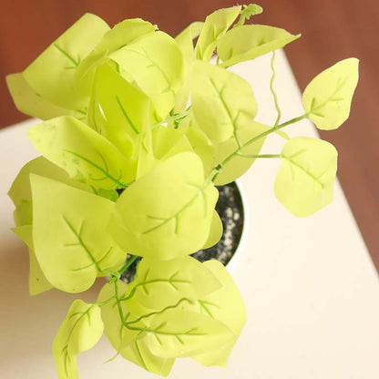 The Devil's Ivy | Artificial Golden Pothos Set of 2 White