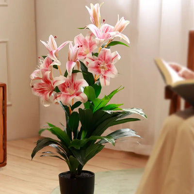 Oriental Lily Plant with Pot | 3 ft | Multiple Colors Pink