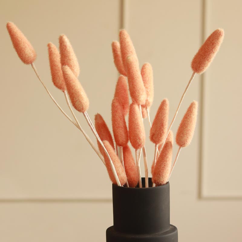 Artificial Bunny Tails | 5 Sticks | Multiple Colors Peach