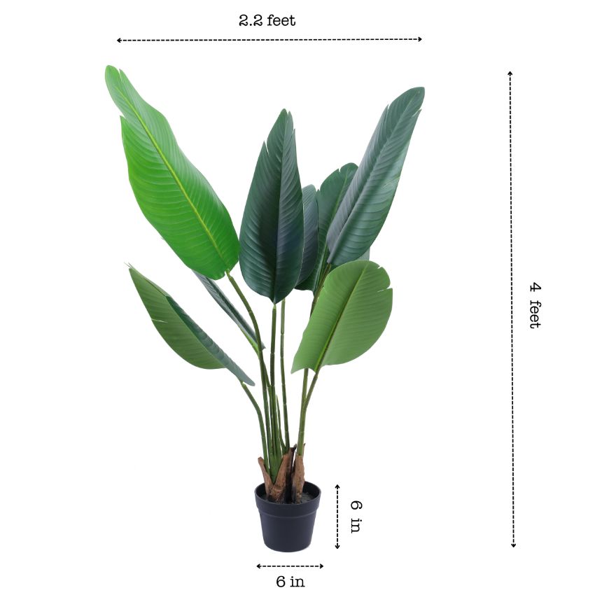 Lush Green Artificial Banana Plant With Pot | 4 Feet