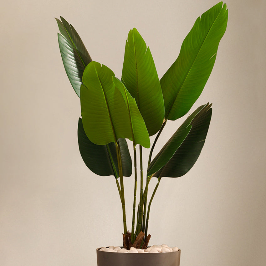 Lush Green Artificial Banana Plant With Pot | 4 Feet