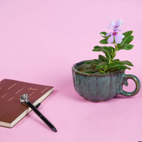 Blue Cup Ceramic Planter Without Plant