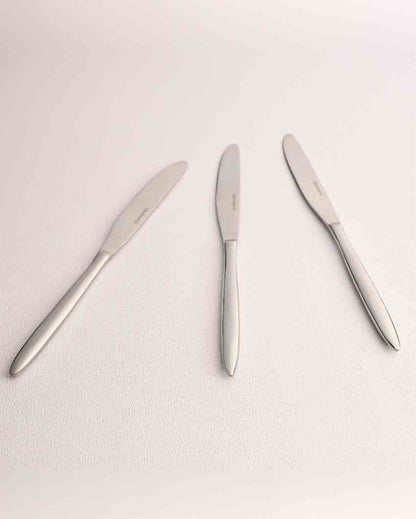 Sleek Stainless Steel Silver Finish Knife | Set of 3