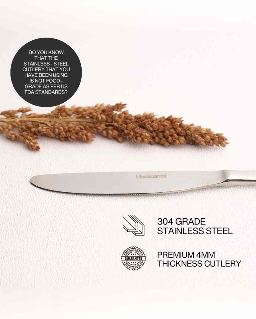 Sleek Stainless Steel Silver Finish Knife | Set of 3