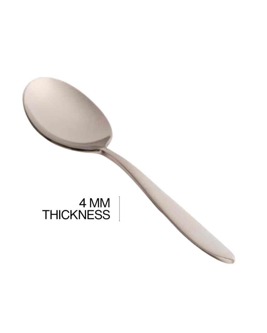 Elegant Stainless Steel Silver Finish Serving Spoon | Set of 2