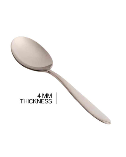 Elegant Stainless Steel Silver Finish Serving Spoon | Set of 2