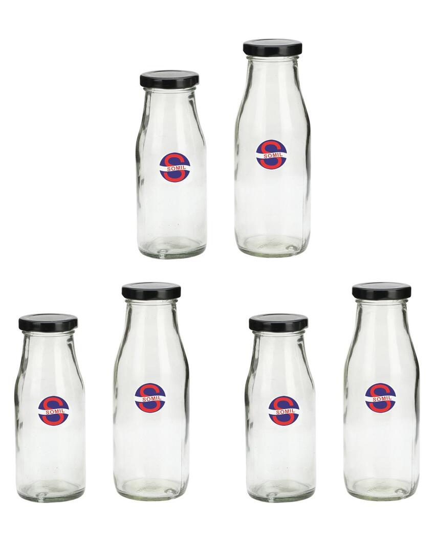 Versatile Clear Glass Milk Bottle with Secure Lid for Kitchen Storage Compact and Durable | 300 ML | 2 x 7 inches