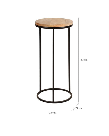 Rustic Forest Echo Wood & Black Metal End Table | Pack of 2