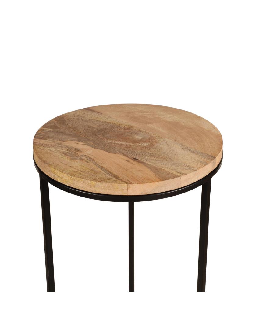 Rustic Forest Echo Wood & Black Metal End Table | Pack of 2