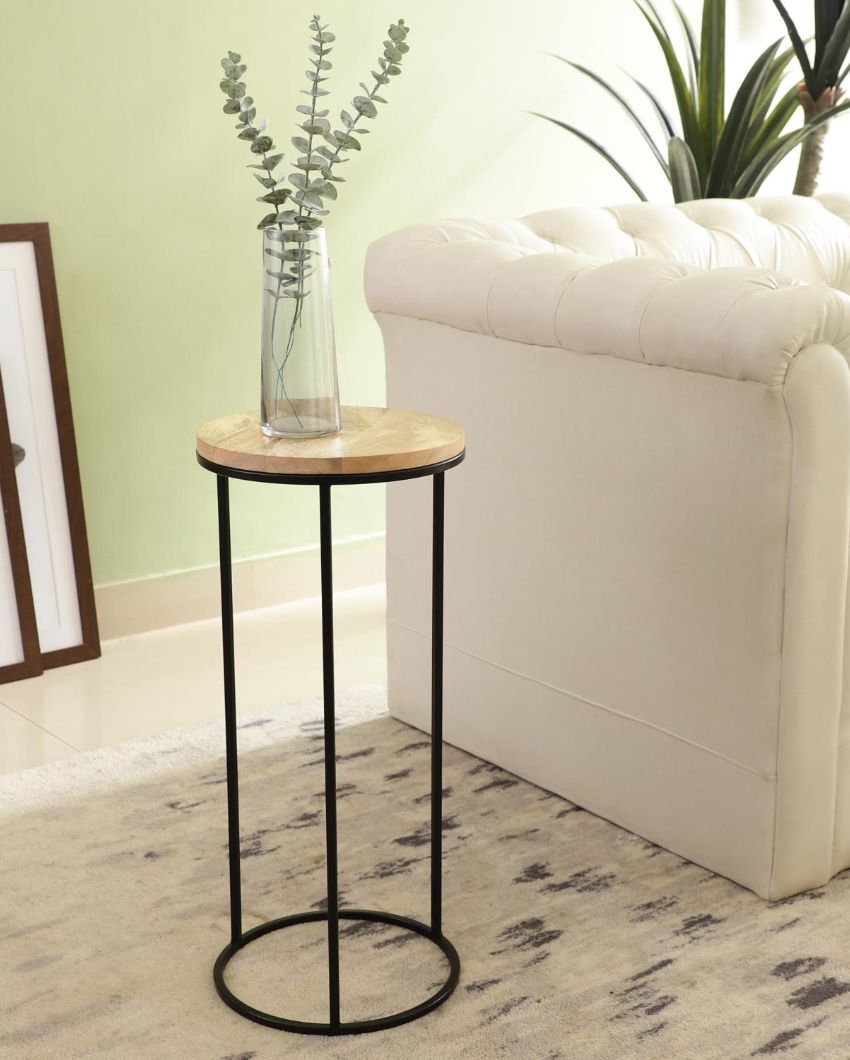 Rustic Forest Echo Wood & Black Metal End Table | Pack of 2