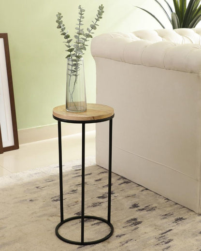 Rustic Forest Echo Wood & Black Metal End Table | Pack of 2