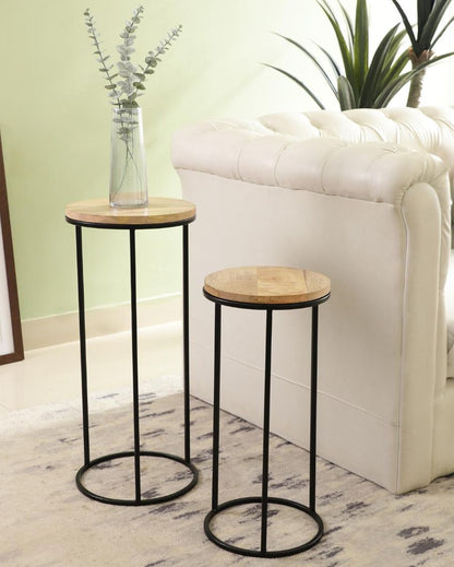 Rustic Forest Echo Wood & Black Metal End Table | Pack of 2