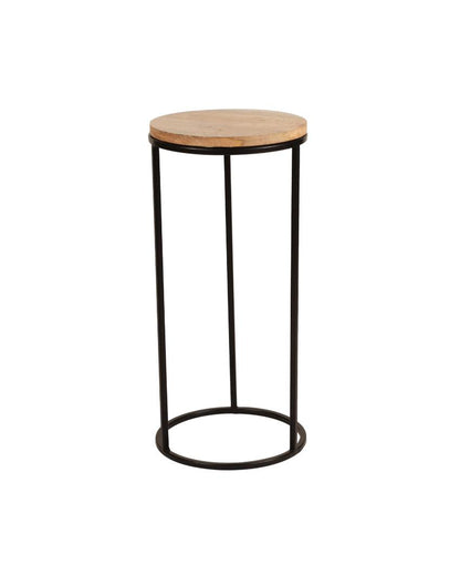 Rustic Forest Echo Wood & Black Metal End Table | Pack of 2