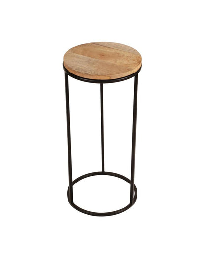 Rustic Forest Echo Wood & Black Metal End Table | Pack of 2