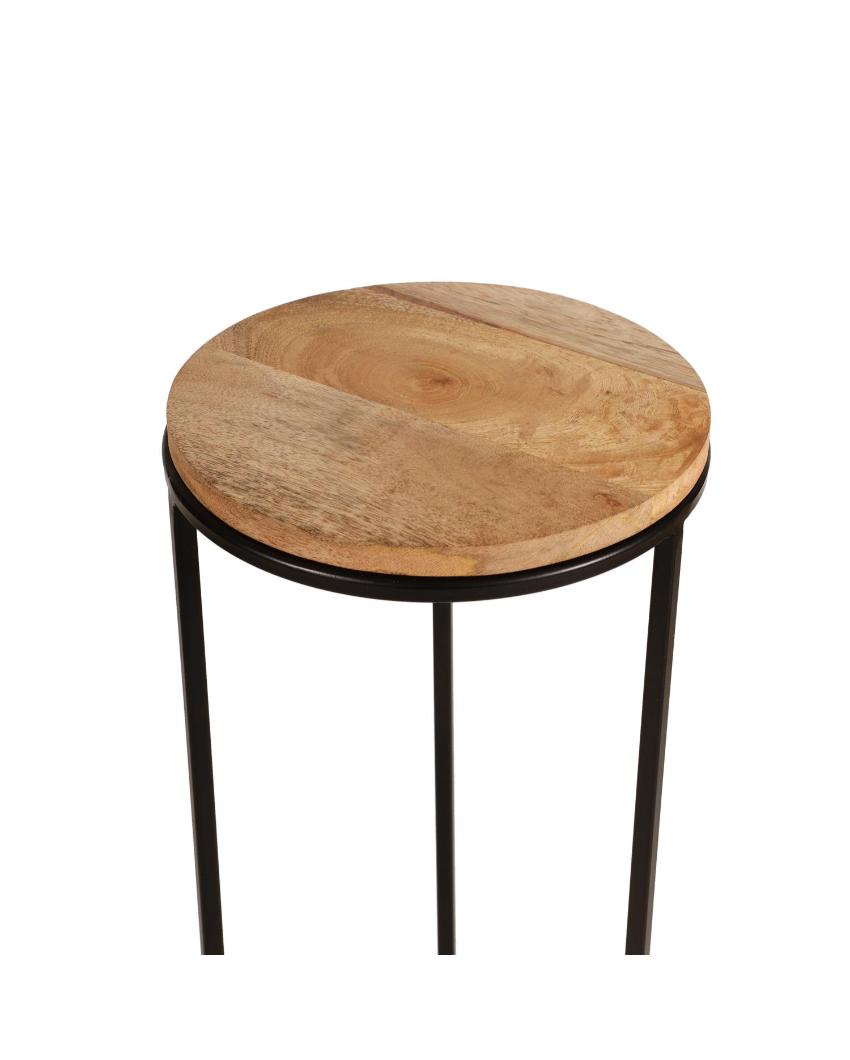 Rustic Forest Echo Wood & Black Metal End Table | Pack of 2