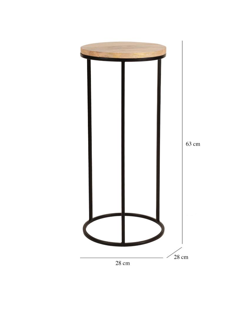 Rustic Forest Echo Wood & Black Metal End Table | Pack of 2