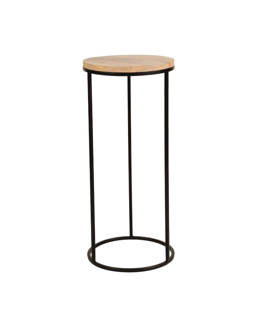 Rustic Forest Echo Wood & Black Metal End Table | Pack of 2