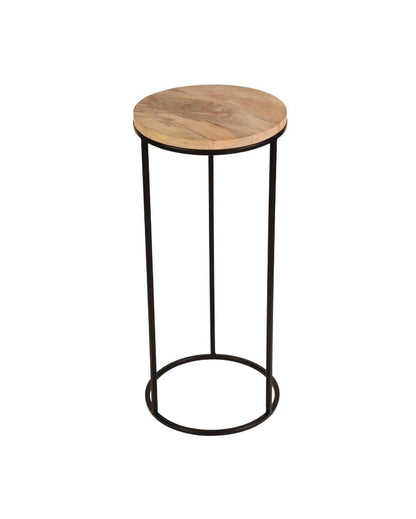 Rustic Forest Echo Wood & Black Metal End Table | Pack of 2