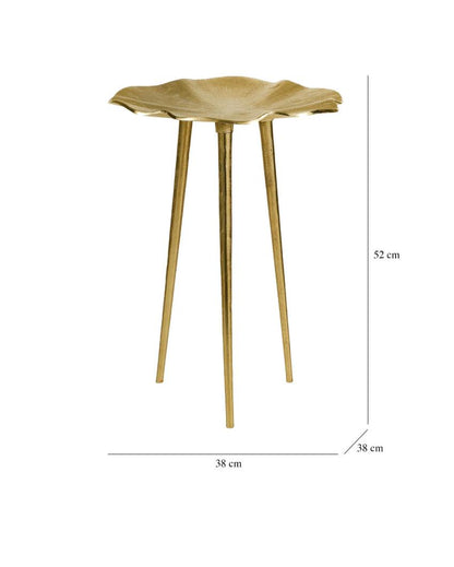 Elegant Canopy Golden Leaf-Inspired Side Table | 15 x 20 inches