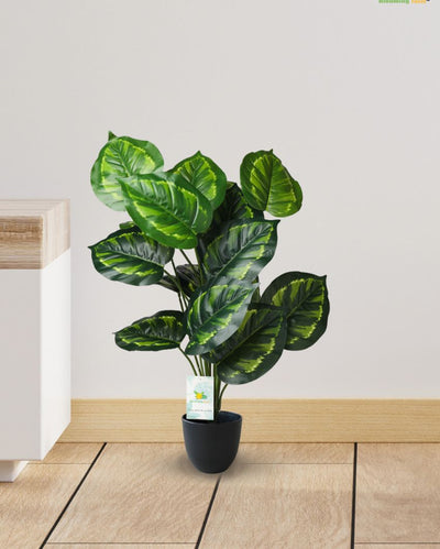 Patterned Philodendron Polyester Artificial Plant with Pot | 18 Leaves | 3 feet