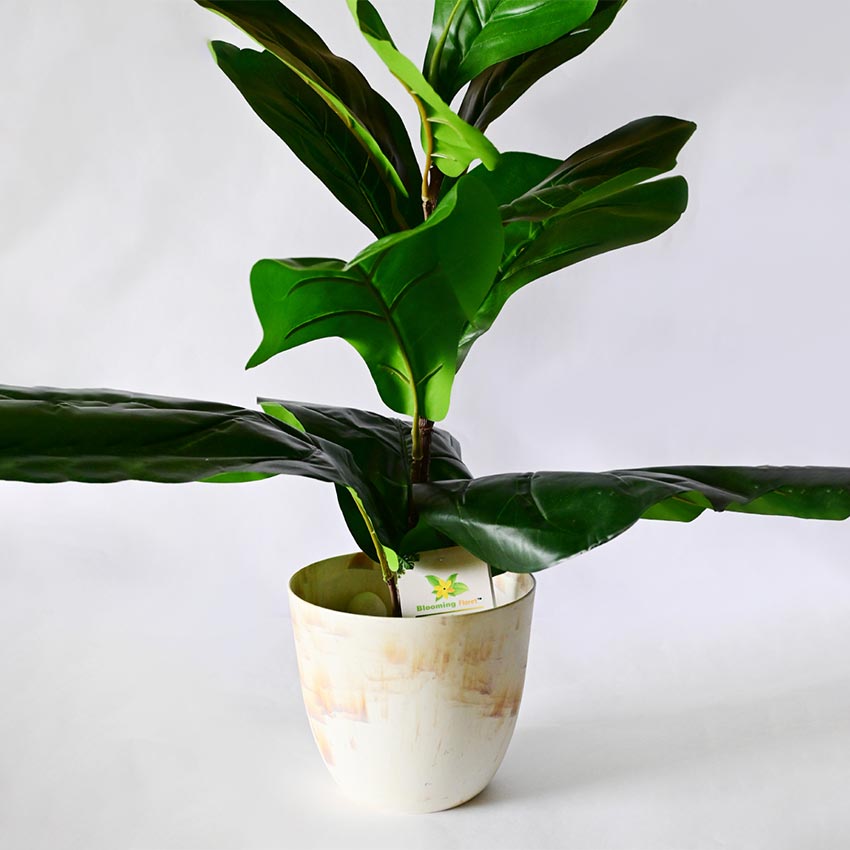 Natural Glow Rose Gold & Yellow Textured Round Pots | 6 x 5 inches