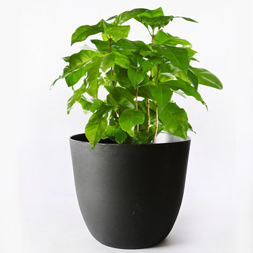 Modern Stackable Matte Black Round Pots Without Plant | 7 x 4 inches