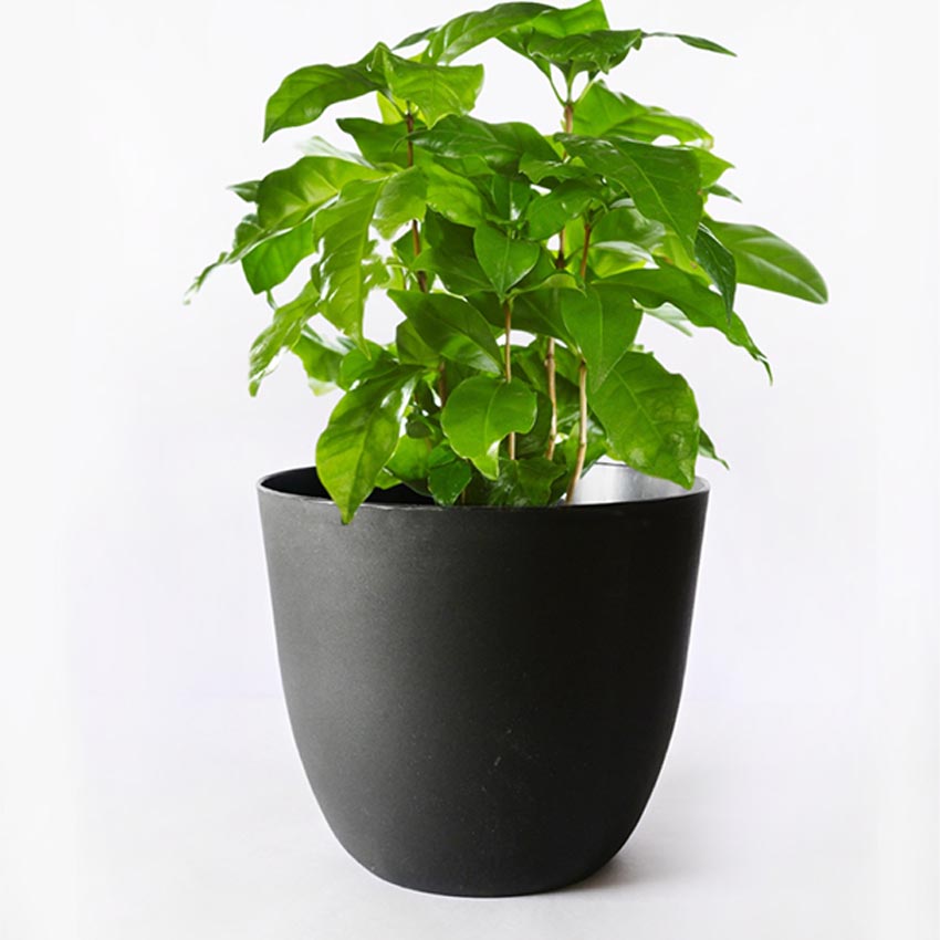 Modern Stackable Matte Black Round Pots Without Plant | 7 x 4 inches