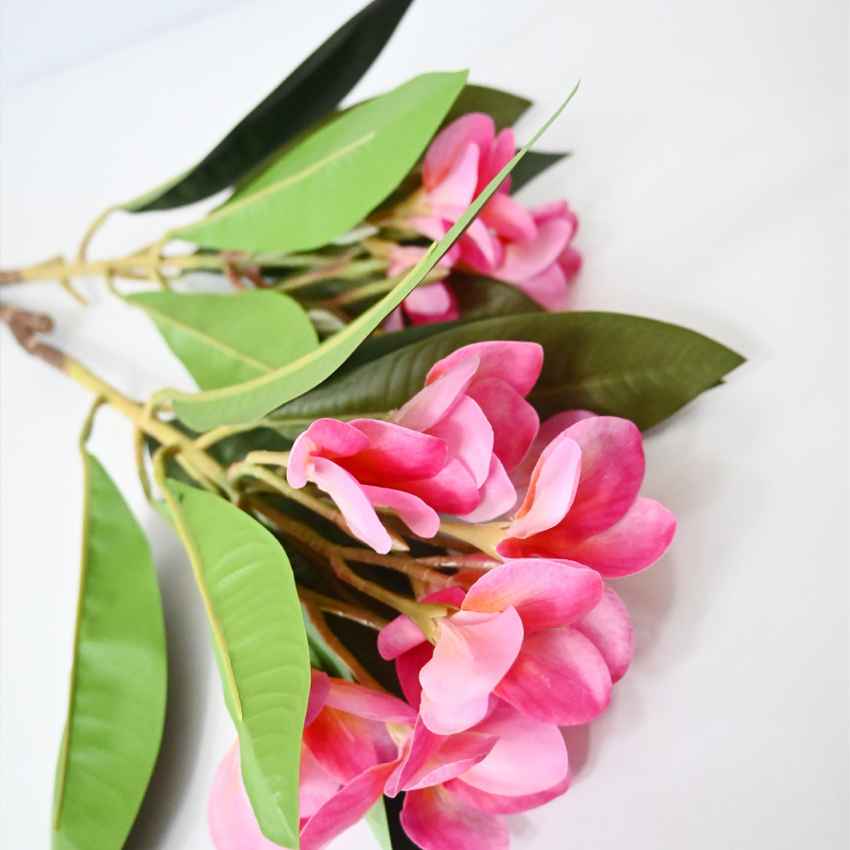 Exquisite Plumeria Frangipani Flower Stick Without Vase | 35 inches