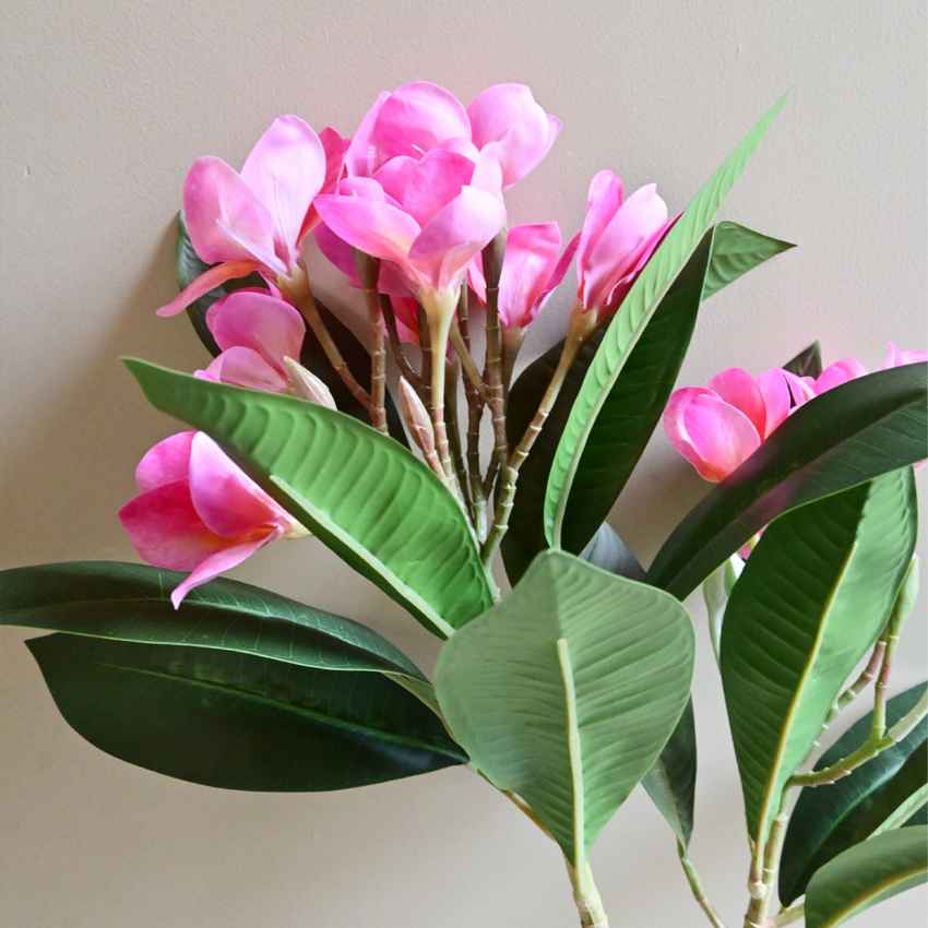 Exquisite Plumeria Frangipani Flower Stick Without Vase | 35 inches